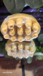 Golden Glo Turmeric Soaps - Chalises Heavenly Inspired
