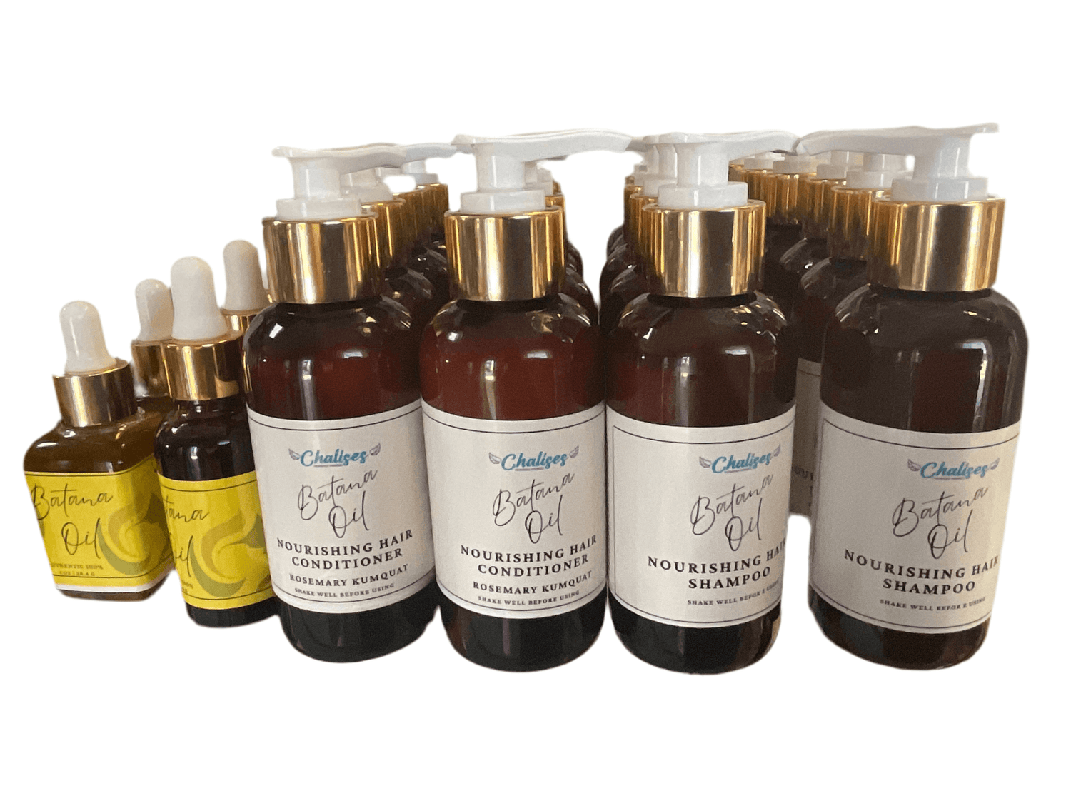 Ayurveda Herbal Infusion Batana Oil Hair Shampoos, Conditioners,Shampoo Bar, Complete Set