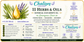 11 Herbs & Oils Hair Oil - Chalises Heavenly Inspired