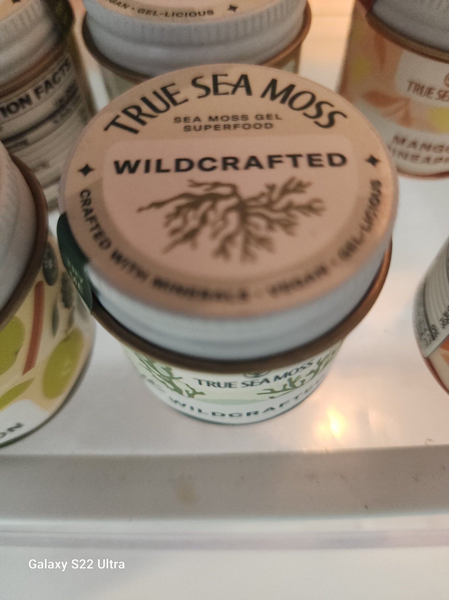 Sea Moss Gel 1oz Sample Jar